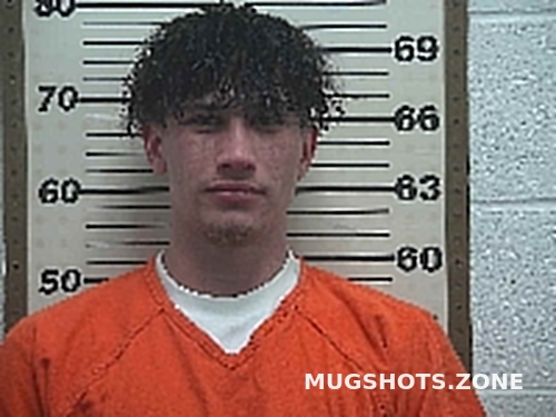 FETTY DEVIN MICHAEL 06 03 2023 Belmont County Mugshots Zone