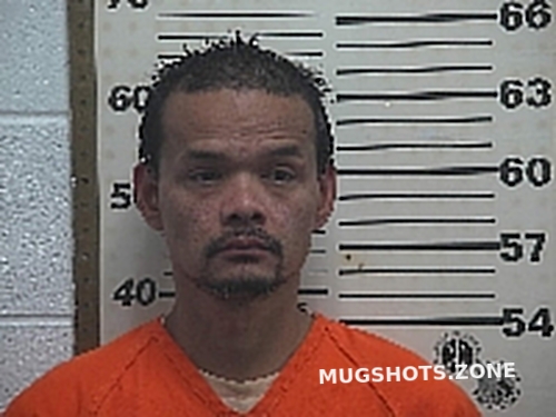 DANH TAN HOAI 09 02 2023 Belmont County Mugshots Zone