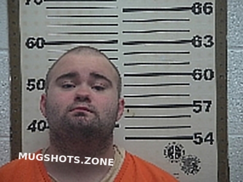 Reed Nathan Paul Belmont County Mugshots Zone