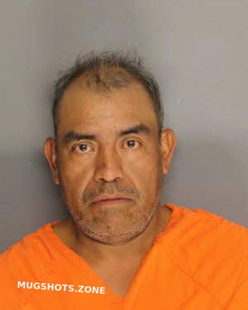 Lopez Bautista Francisco Berkeley County Mugshots Zone