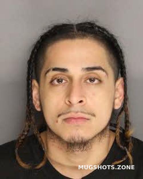 Zelaya Derek Isaias Berkeley County Mugshots Zone