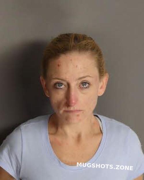 KRUGER SYLVIA LYNN 11 28 2023 Berkeley County Mugshots Zone