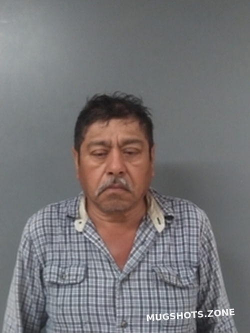 Mario Valdez Blount County Mugshots Zone