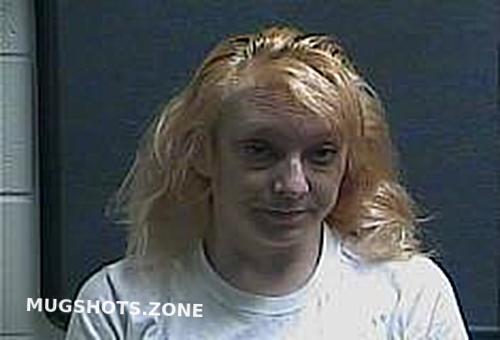 Mcneal Tamara Lynn Boone County Mugshots Zone