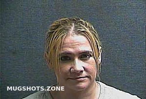 Collins Lisa M Boone County Mugshots Zone