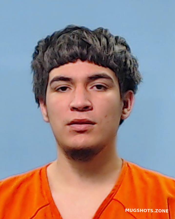 Sanchez Luis Enrique Brazoria County Mugshots Zone