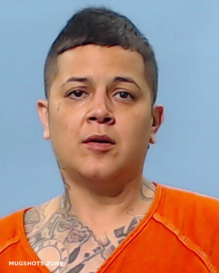 Delgado Nina Brazoria County Mugshots Zone