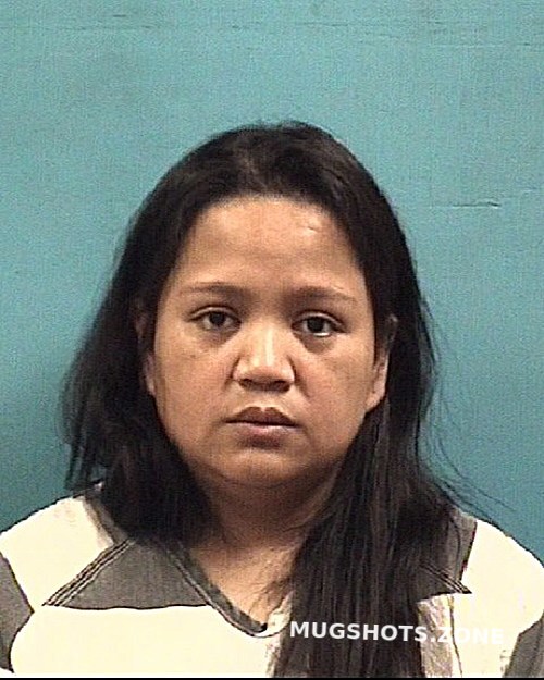 Mangaoang Rachelle Aquino Brazoria County Mugshots Zone