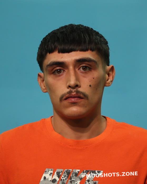 Villagomez Javier Brazoria County Mugshots Zone