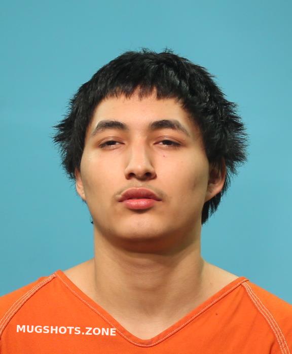 Lozoya Alexis Brazoria County Mugshots Zone