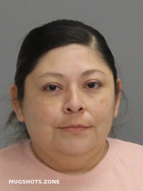 Espinoza Leal Rosa Brazos County Mugshots Zone