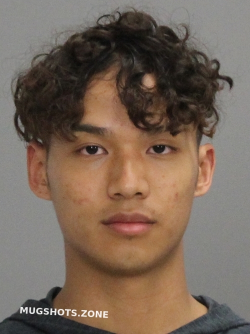 Nguyen Huy D Brazos County Mugshots Zone