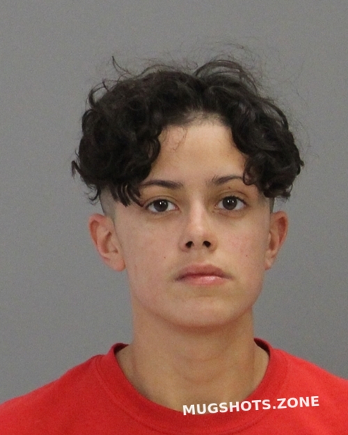 DAVILA ELISA CECILIA 11 20 2021 Brazos County Mugshots Zone