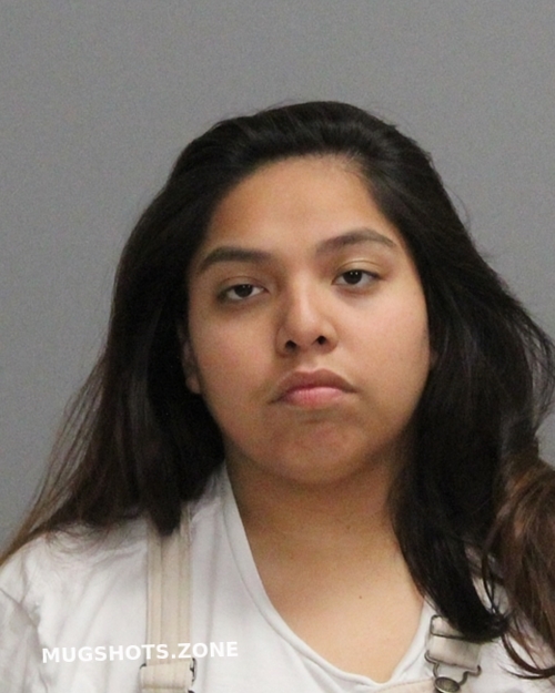 Garcia Adriana Brazos County Mugshots Zone