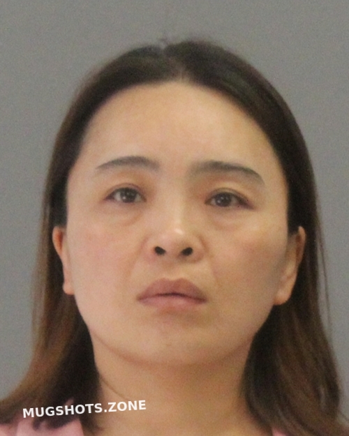 JIANG SONGMEI 06 19 2023 Brazos County Mugshots Zone