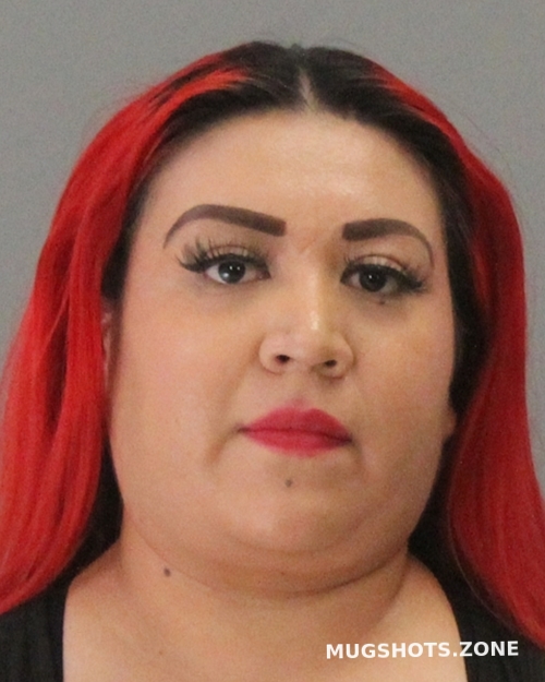 Garza Susana Brazos County Mugshots Zone