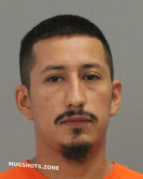 Mendoza Miguel Brazos County Mugshots Zone