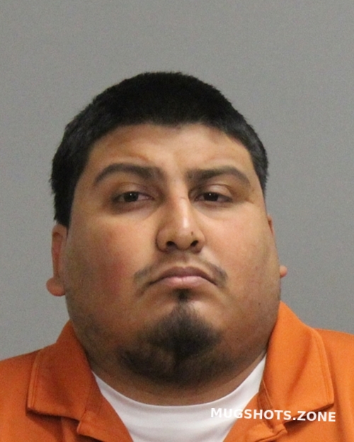 Alvarado Fabian Angel Brazos County Mugshots Zone