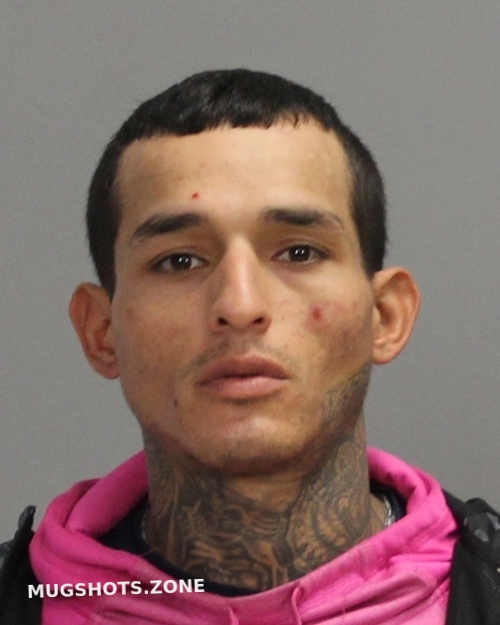 Diaz Vincent Xavier Brazos County Mugshots Zone