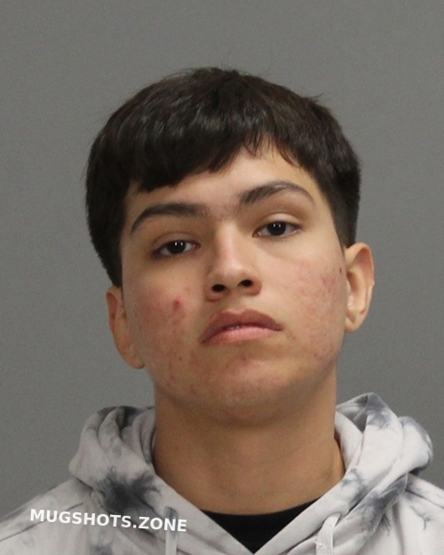 GUEVARA JR JESUS 01 09 2024 Brazos County Mugshots Zone