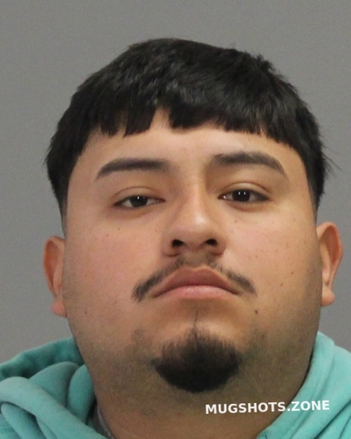 Santos Muniz Enrique Brazos County Mugshots Zone