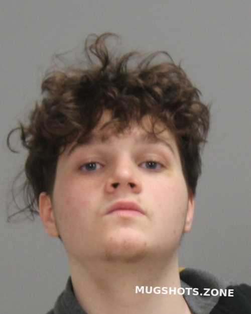 Hilton Elijah Richard Brazos County Mugshots Zone