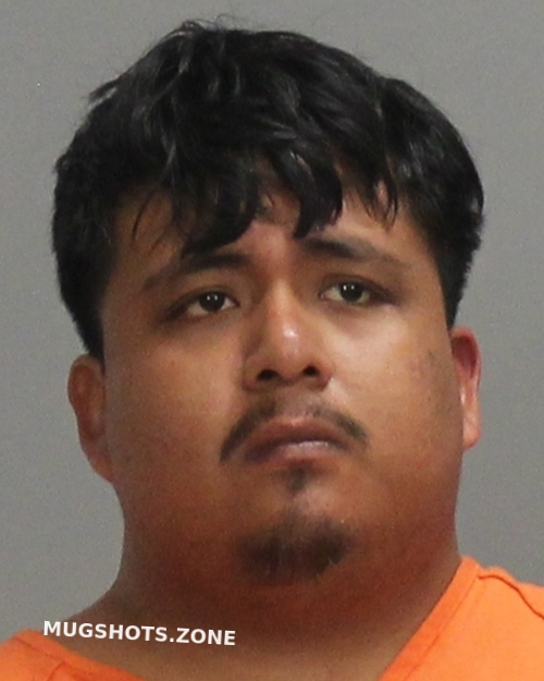 TZUNUM RAMIREZ LUIS ALBERTO 07 14 2024 Brazos County Mugshots Zone