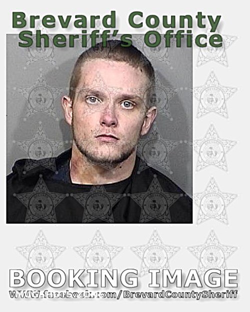 Green Austin Brevard County Mugshots Zone