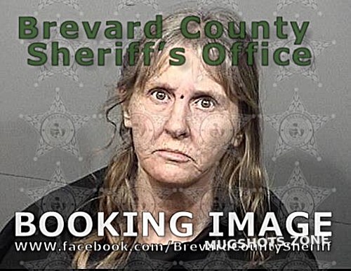 SWIGGETT KIM RENEE 01 20 2021 Brevard County Mugshots Zone