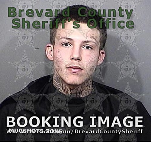 Hernandez Ayala Rolandito O Neill Brevard County Mugshots Zone