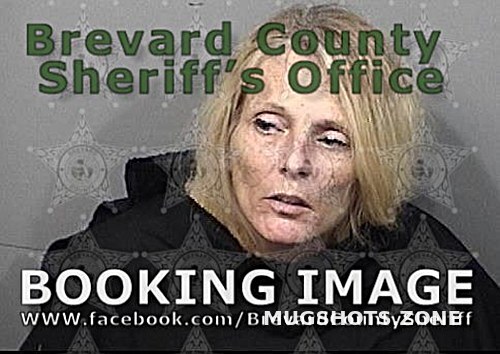 ANDERSON MICHELLE BETH 03 23 2021 Brevard County Mugshots Zone