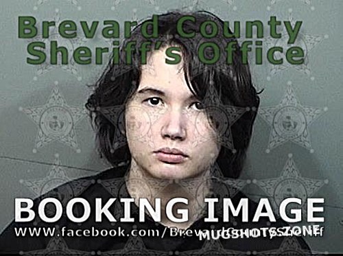 KNUDSEN SAMANTHA GAYLE 04 05 2021 Brevard County Mugshots Zone