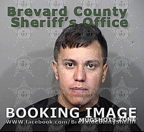 FONTANEZ VARGAS JORGE 04 11 2021 Brevard County Mugshots Zone