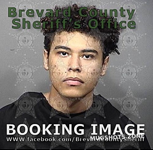 Rabidou Ryan Sebastian Brevard County Mugshots Zone