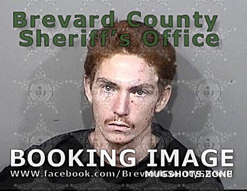 Eddy Daniel Phillip Brevard County Mugshots Zone