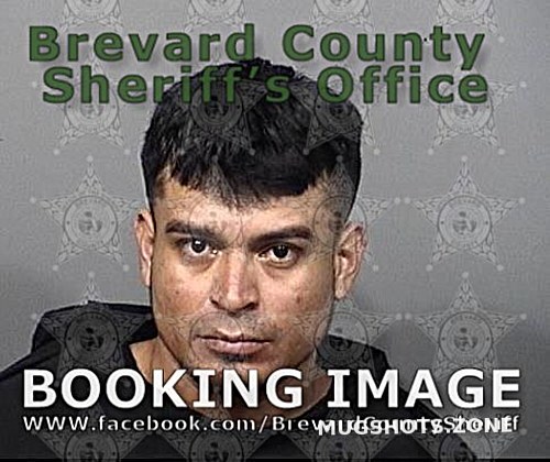 Alvarado Erick Brevard County Mugshots Zone