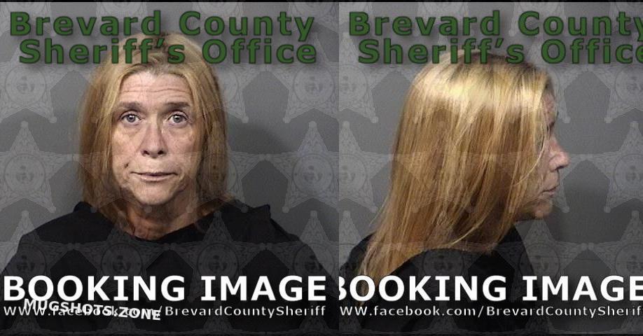 FINK CINDY LOU 09 02 2022 Brevard County Mugshots Zone