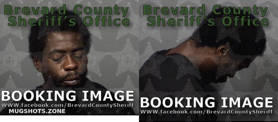 Jenkins Akeem Lashone Brevard County Mugshots Zone