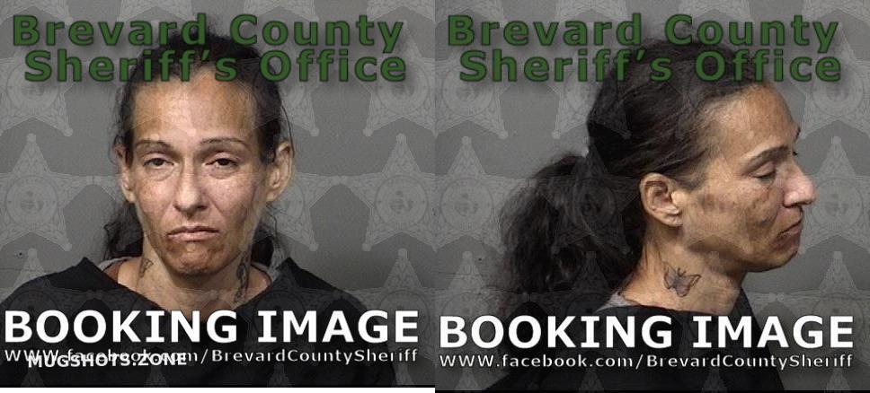 Padilla Dawn Alisa Brevard County Mugshots Zone