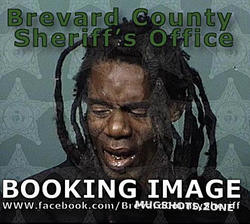 Scott Chadrick Everett Brevard County Mugshots Zone