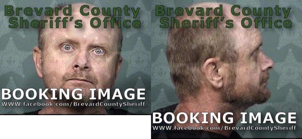 Fowler Dale Allen Brevard County Mugshots Zone