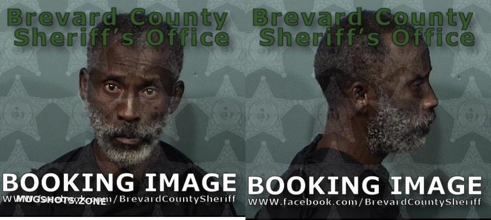 Vereen Ronald Leonard Brevard County Mugshots Zone