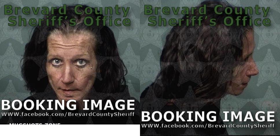 WEST CHASITY LEE 07 23 2023 Brevard County Mugshots Zone