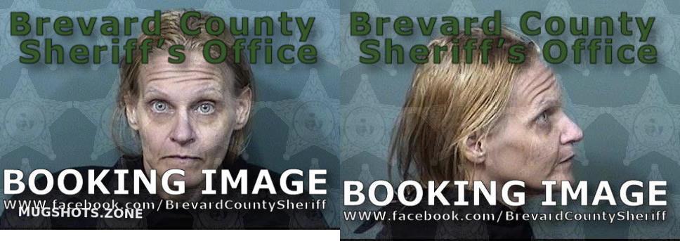 Wyss Kristen Ashley Brevard County Mugshots Zone