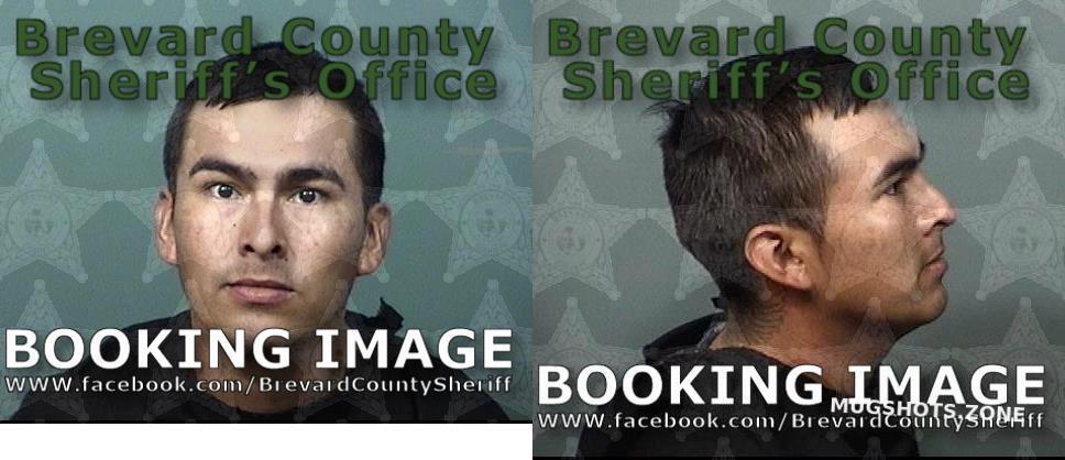 ISABEL PAULINO CARO 09 22 2023 Brevard County Mugshots Zone