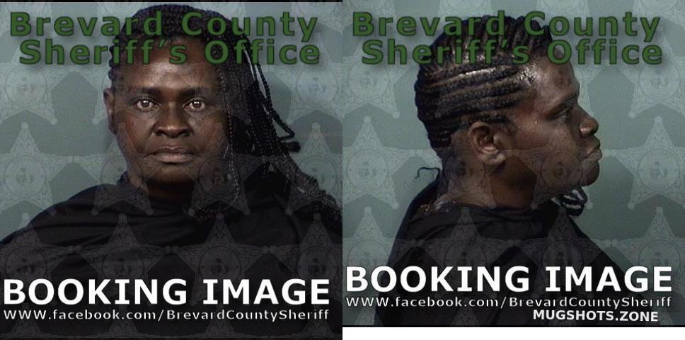 Davis April Renee Brevard County Mugshots Zone