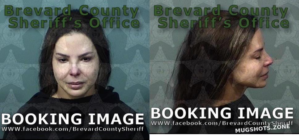 Viggiani Ana Mercedes Brevard County Mugshots Zone