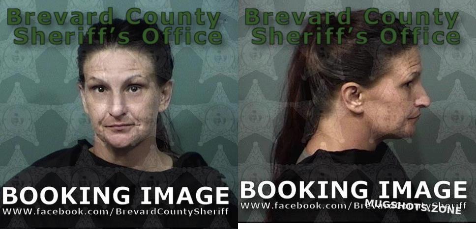 VELLA CHRISTINE MICHELLE 11 09 2023 Brevard County Mugshots Zone