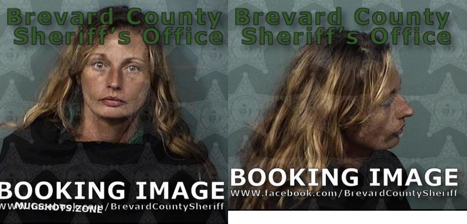 JONES APRIL MARIE 11 26 2023 Brevard County Mugshots Zone