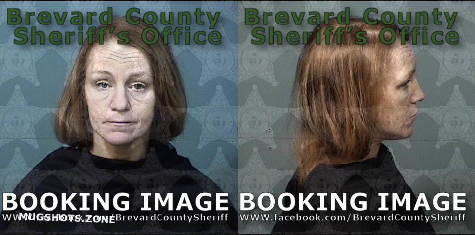 Layer Amy Nicole Brevard County Mugshots Zone